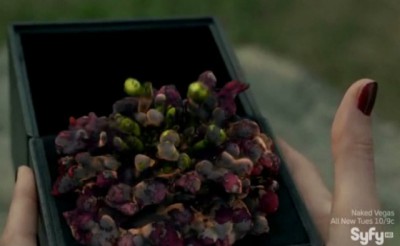 Haven S4x09 - Audrey holds the box and sees the flowers morph into The Troubled Bugs