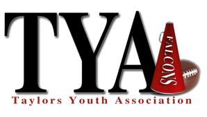 Taylor Youth Organization