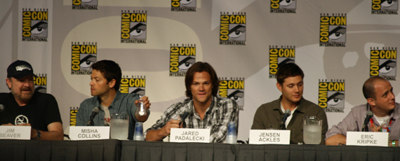 Supernatural panel