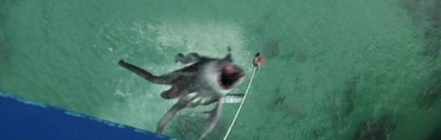 Sharktopus - Say no to bungee jumping! CHOMP!