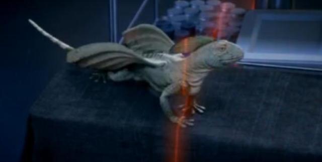 Primeval S4x03 - Rex!