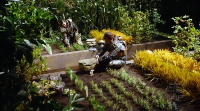 Eli helping with the harvest