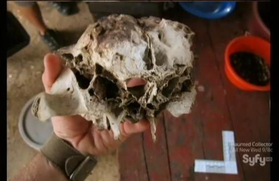 Destination Truth S5x02 skull 8