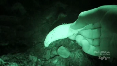 Destination Truth S5x6 Destination "Tooth"