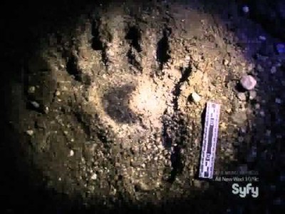 Destination Truth S2 Yeti Footprint