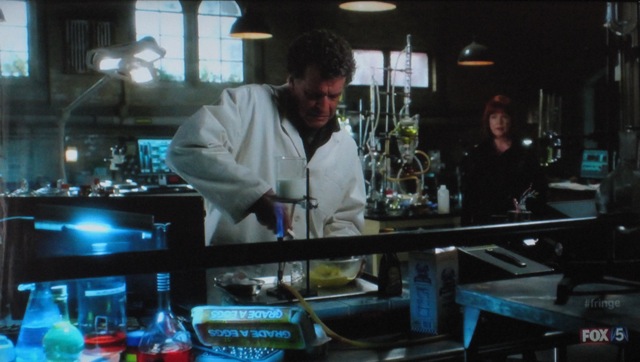 Fringe S4x05 - Walter and Nina