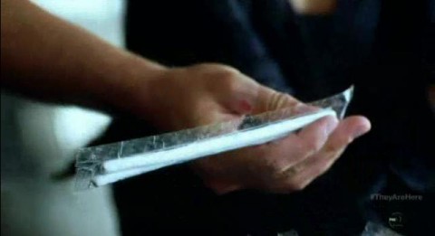 Fringe S5x01-Egg sticks?