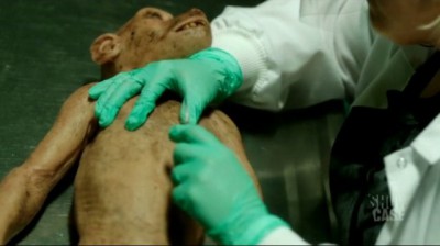 Helix S1x02 - Dr Boyle dissects a Rhesus monkey
