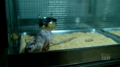 Helix S1x02 - Lab rat tests confirm there are at least two versions of the retro-virus