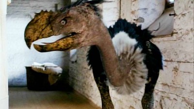 Primeval Terror Bird - Click to learn more at BBC America!