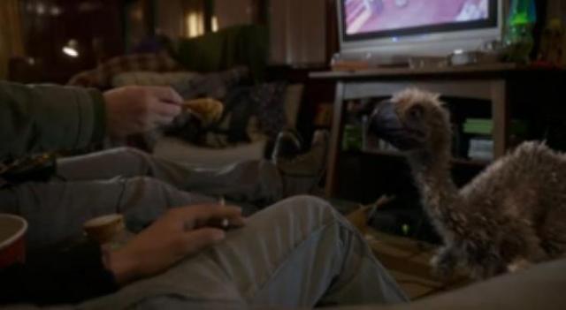 Primeval New World 01x04 Feed the bird