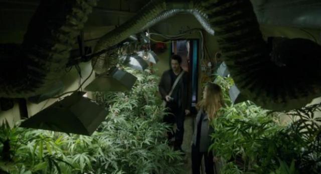 Primeval New World 01x04 Lots of pot