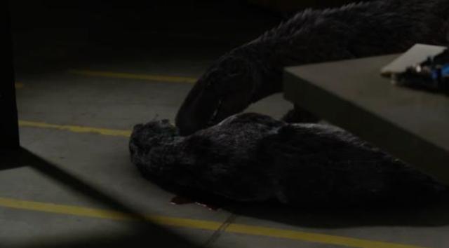 Primeval New World 01x05 Both creatures located