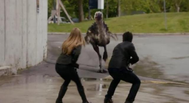 Primeval New World S1X10 Bird runs away then comes back