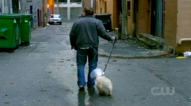 Supernatural S7x15 - Jeffrey and his new dog check out noise in the alley