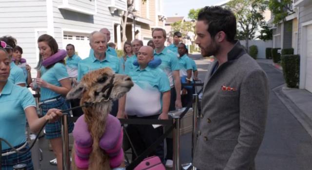 The Neighbors S2x22 Kevin the alpaca