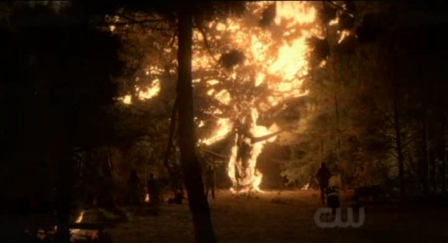 The Vampire Diaries S3x08 - Burning of the White Oak Tree