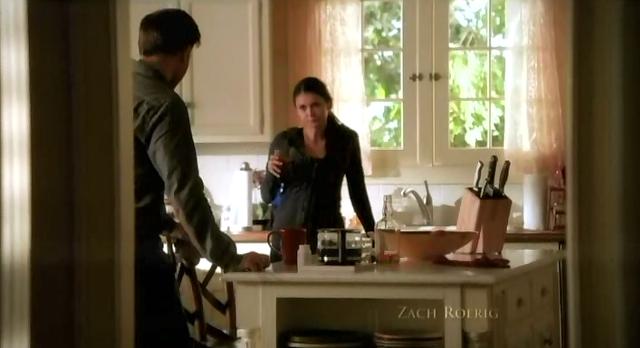 The Vampire Diaries S3x13 Elena and Alaric