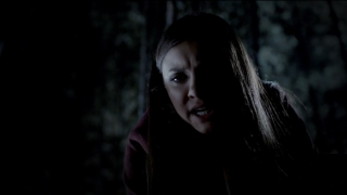 The Vampire Diaries S4x11 - Elena saving Matt