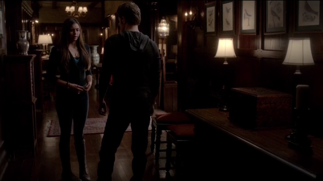 The Vampire Diaries S4x11 - Stefan and Elena