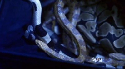 Warehouse 13 S4x11 Snakes in a bag