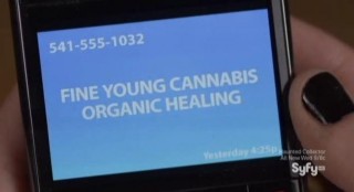 Warehouse 13 S4x12 Fine Young Cannabis